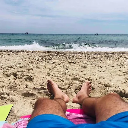 Appartement Magnifique Au Lavandou Le Lavandou